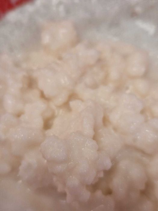 Vând cultură de kefir de lapte tibetan (ciuperca kefir)