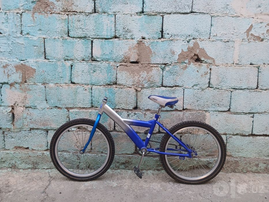 Velosiped xolati bomba
