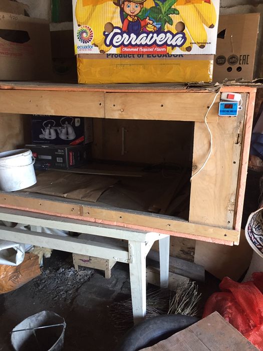 Брудер для цыплят