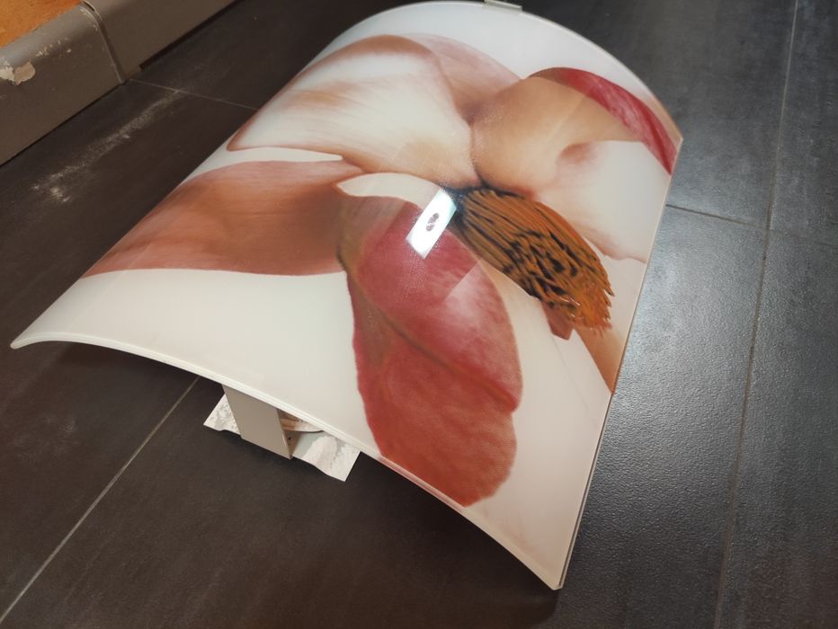 Полилей в добро състояние