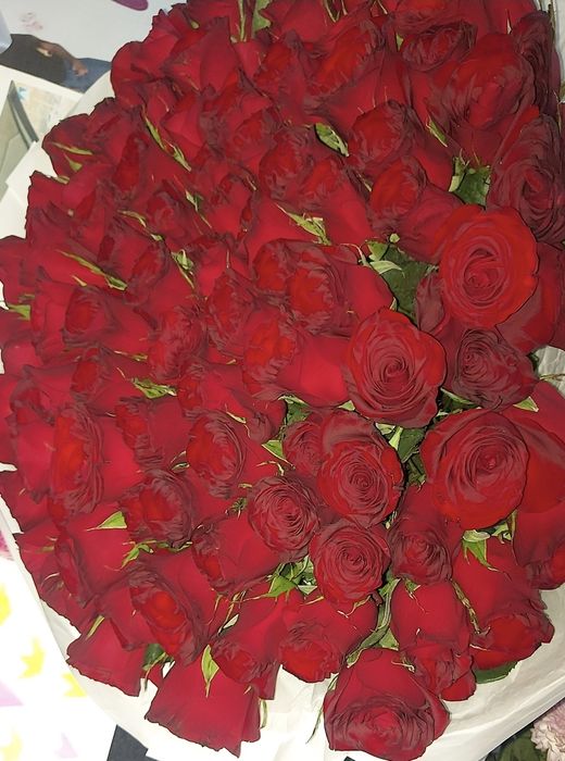 Продам 101 красных роз.