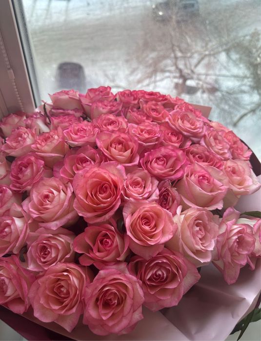 51 роза розового цвета