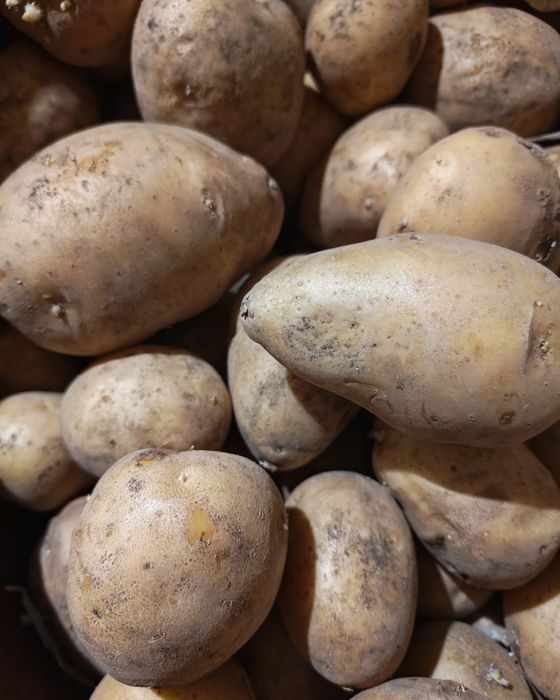 Дом, сад, огород