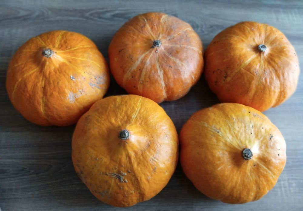 Продам тыкву вкусную