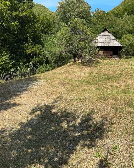 Teren Montan 6.572 mp Jieț (Petrila , Județul Hunedoara)