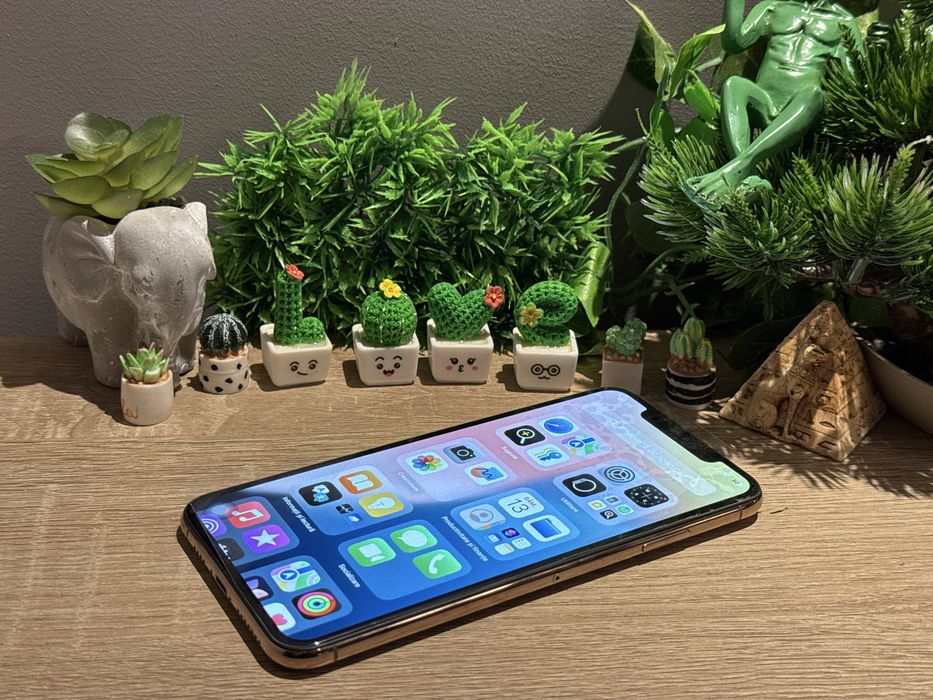 Iphone Xs Max Gold‼️Ca Nou‼️Bat 100%‼️Garantie‼️