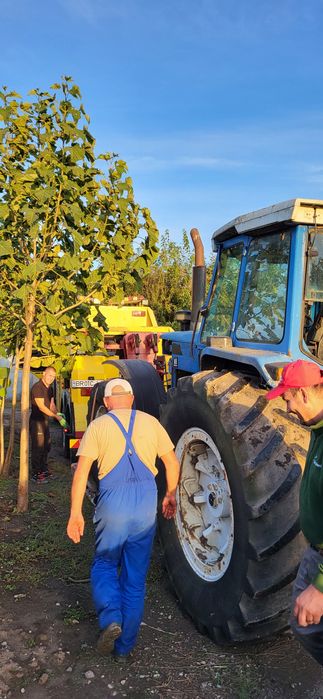 Depanari/Tractari Camioane 24/7