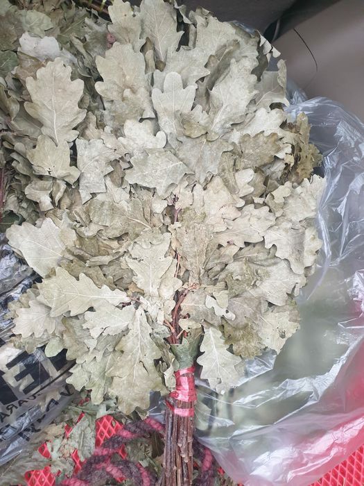 Веник дубовый для бани и сауны