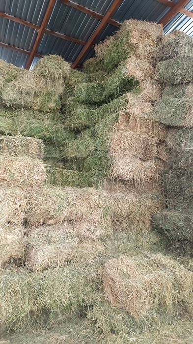 Продам люцерну    ...