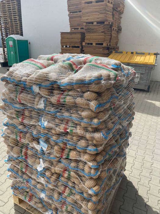 Vand cartofi consum,calitate extra