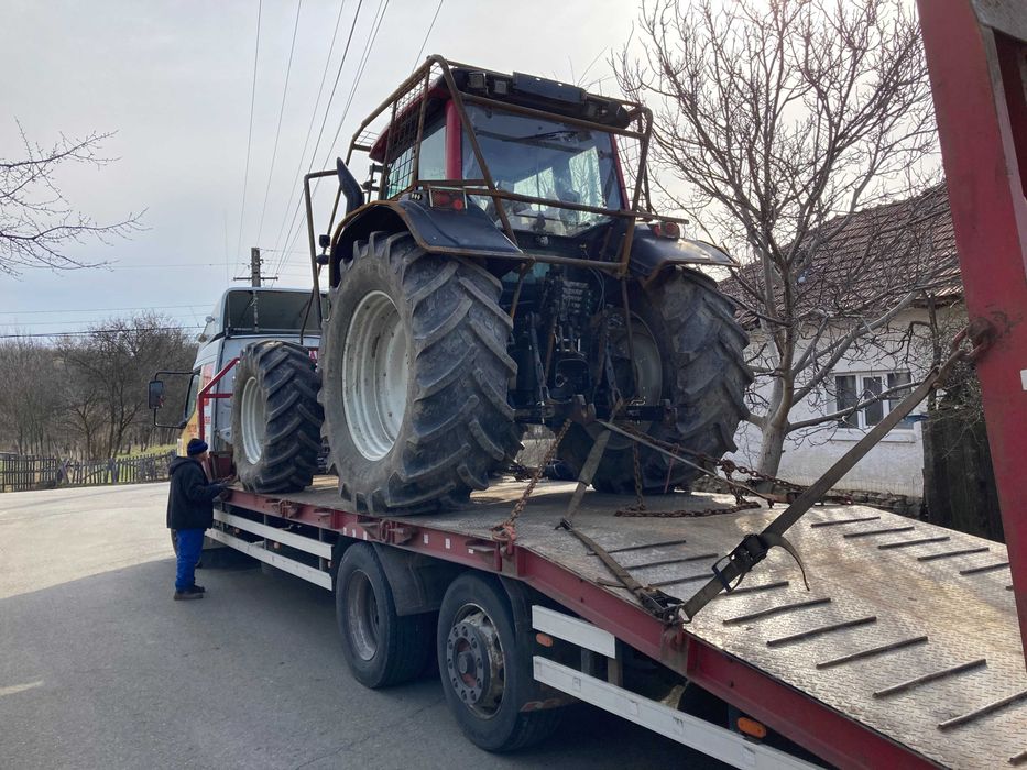 Curatare si defrisare ambrozie si vegetatie invaziva