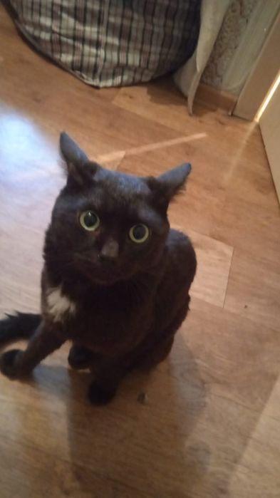 Вознаграждение 5000 тысяч