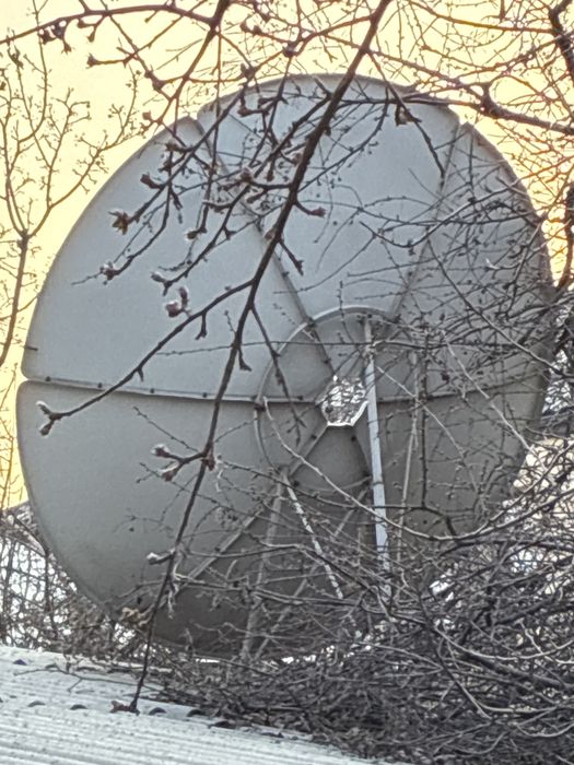 Ламинат бу качественный