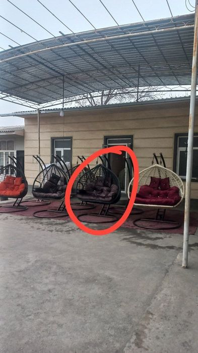 Ratan kachela olami eng arzonarxlar tayyorlab yetkazib