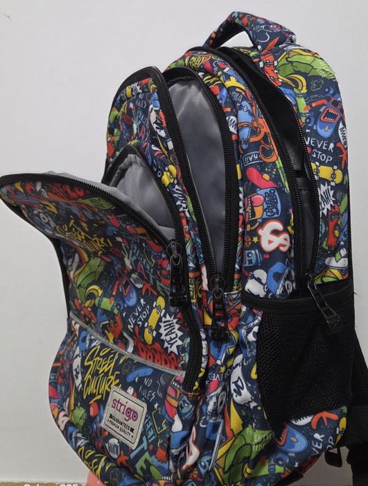 Ghiozdan Strigo, 24 litri, multicolor