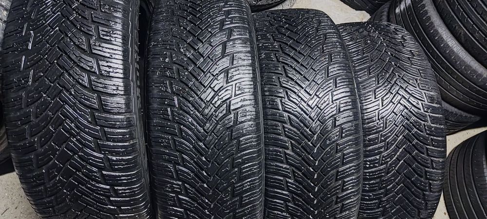 Зима+Лита Ласса размер 17/4 шт 225*55