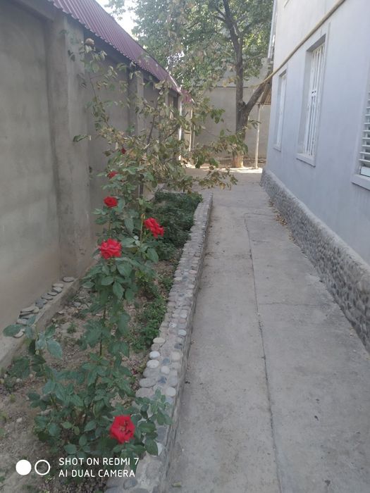 Dacha sotiladi tuzelda