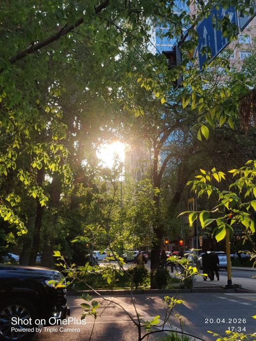 OnePlus 8 128/8 в среднем состоянии