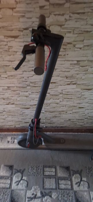 Электросамокат и гироскутер