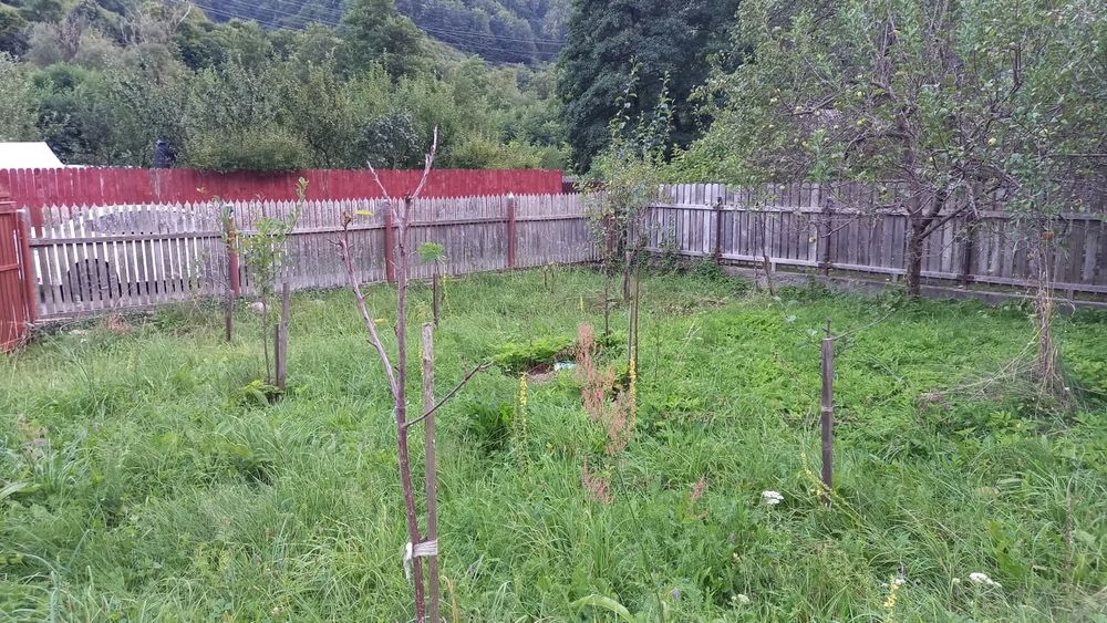 Teren cu cabanuta  Păscoaia Brezoi Valcea
