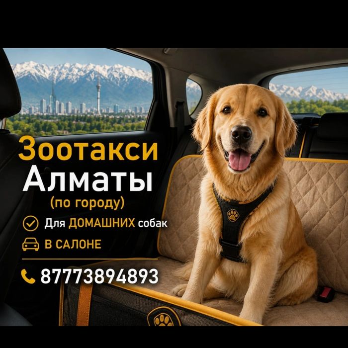 Зоотакси по городу Алматы
