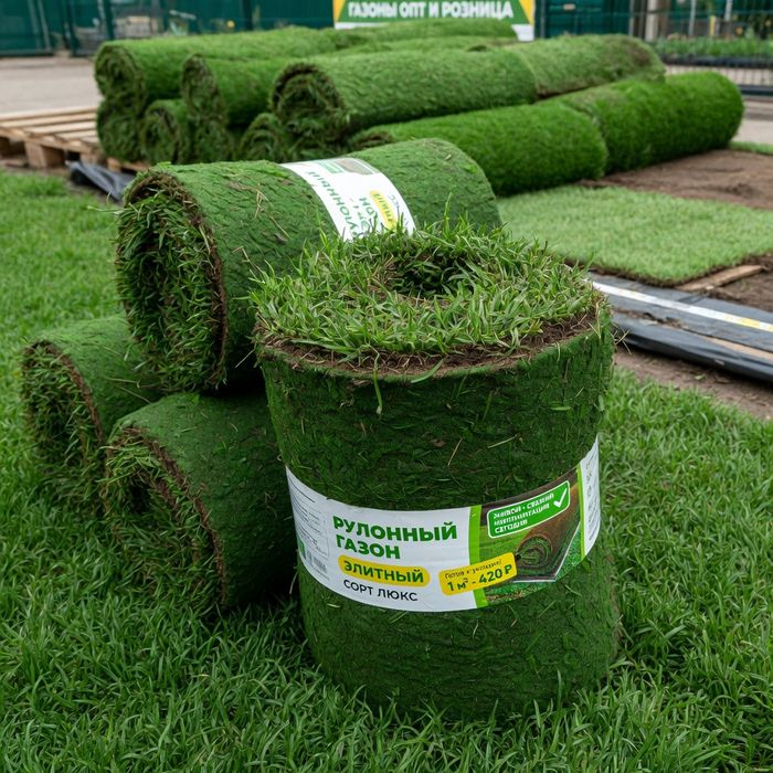 укладка рулонного газона | Таууор газон уоткизиш