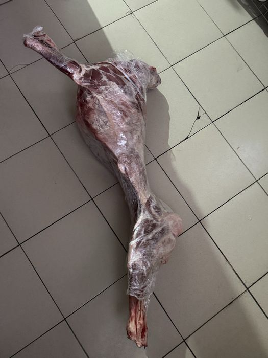 Барашка около 13кг