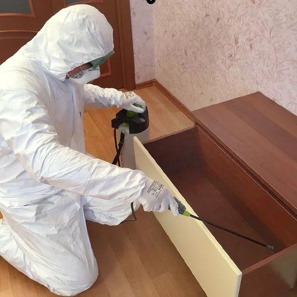 Dezinfeksiya dezinfeksiya klapa дезинфекция дезинсекция дератизация