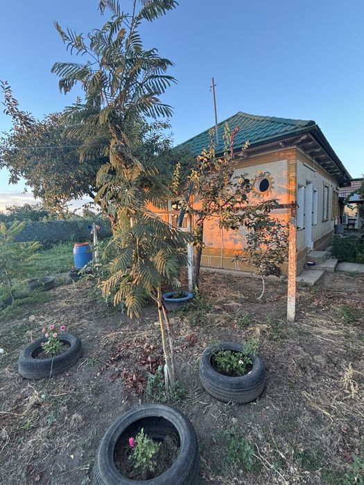 Casa de vanzare  ÎN PADINA – 1.700 MP TEREN