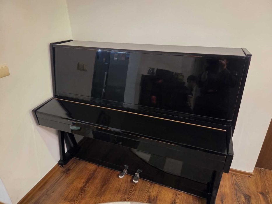 Pianină UKRAINA (Україна)