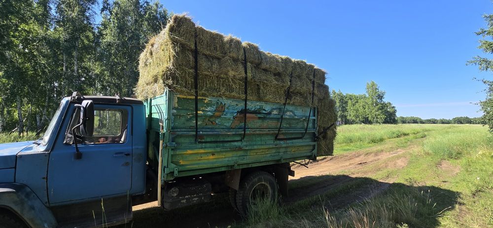 Привезу сено, пырей, зелёное.