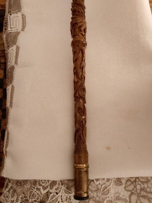 Хасса дракон зонский янги