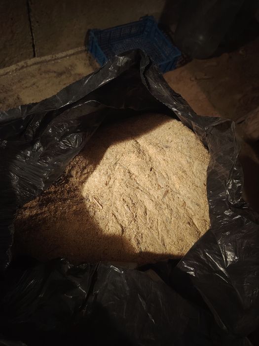 Продам опилки сосновые