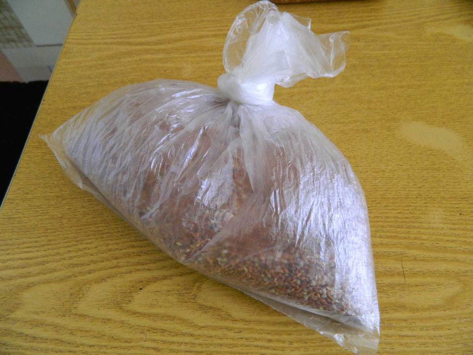 Продам  красное просо