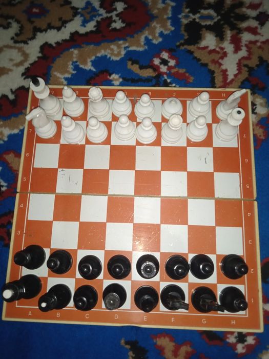 Шахматы магнитные.