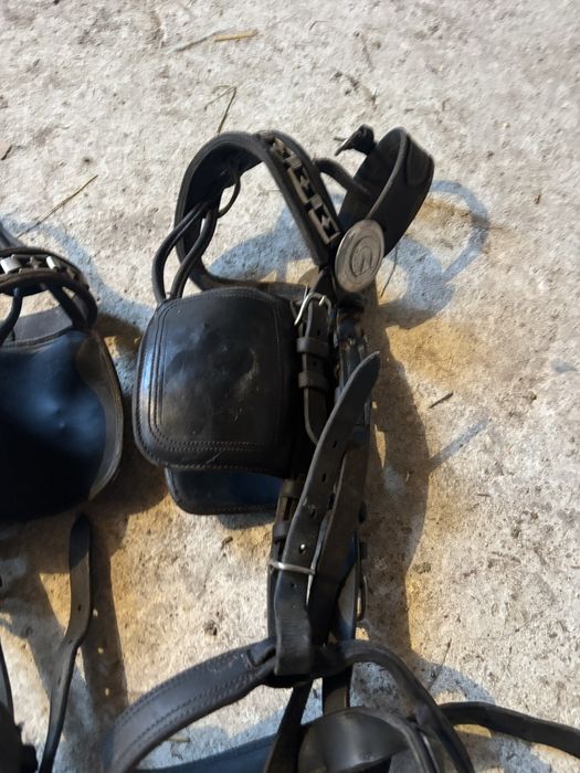 Capestre piele marime full