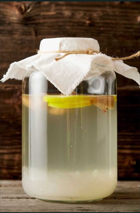 Ciupercă Japoneză Chefir de apă