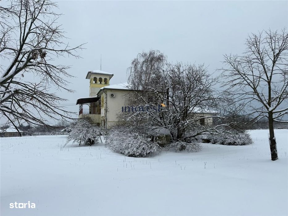 Proprietate Premium de Vanzare Castel Istoric cu Domeniu de 52.000 mp