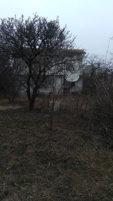 Разчистване на запустели терени