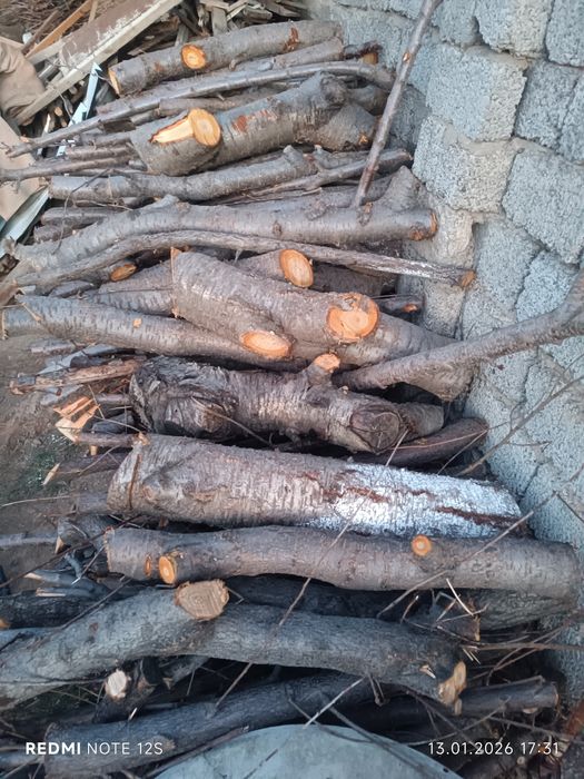 Мевали дарахт утини