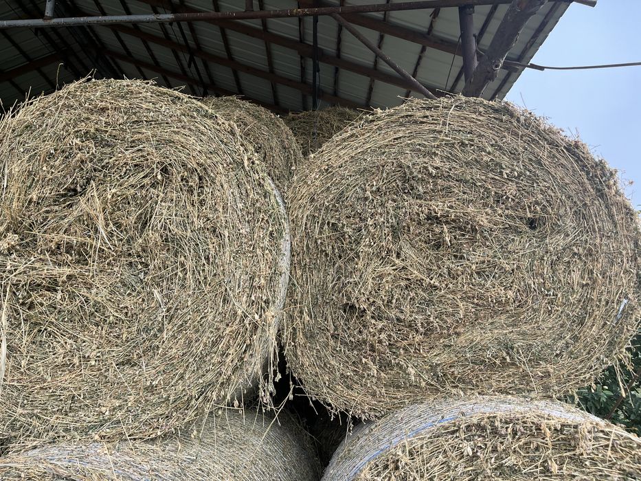 Vand baloti de lucerna