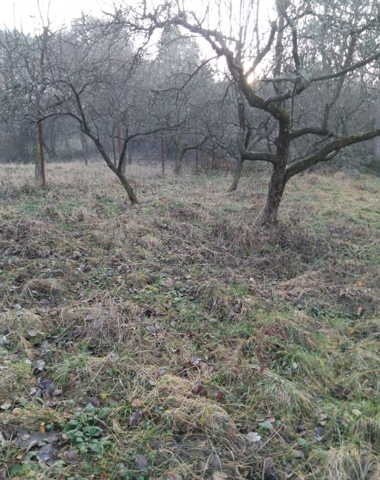 Продава се Къща в Кюстендил, Върташево - 78 кв.м за 386 €/кв.м - Снимка #7