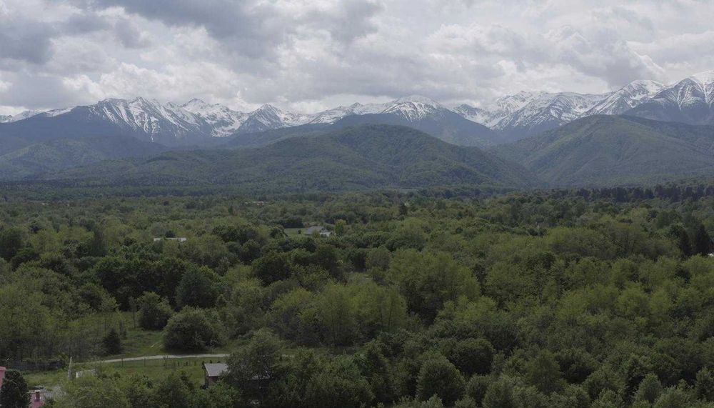 Pensiune Valea Avrigului