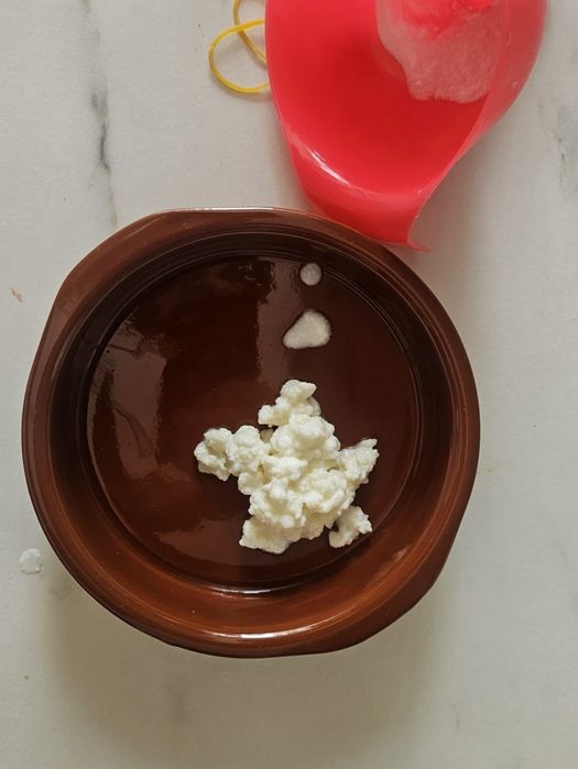 Vând lingura generoasă de Ciuperca de Kefir + instrucțiuni de folosire