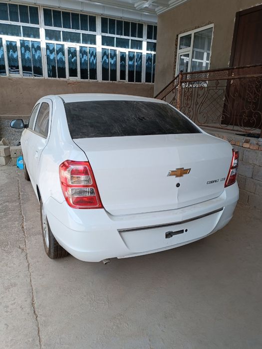 Cobilt 2024 bezprobek