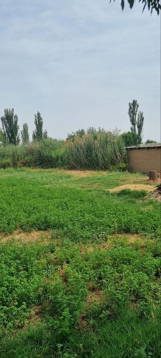 Участка сотилади октябрда