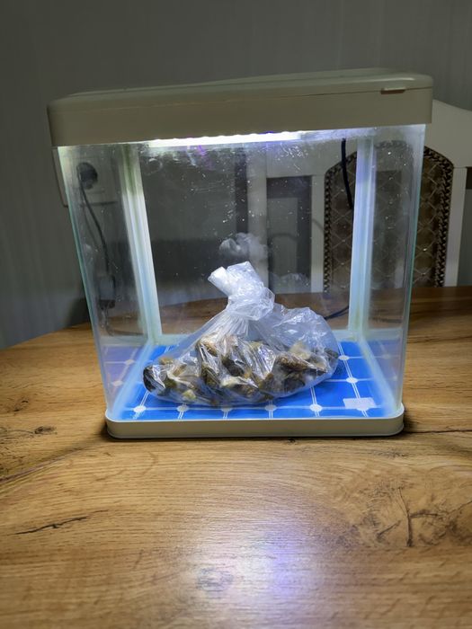 Продам Аквариум