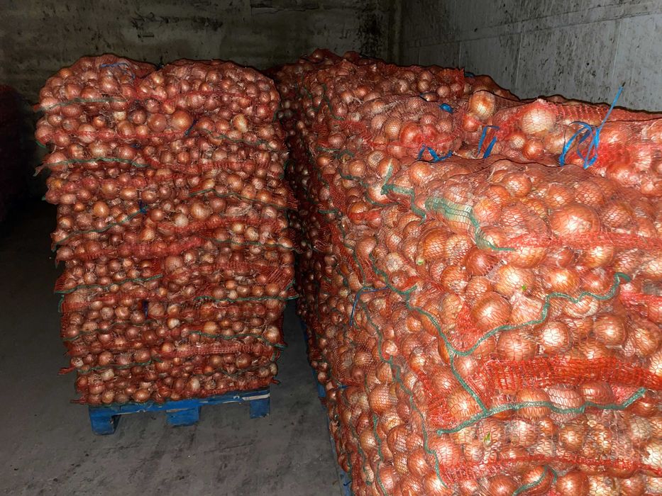 Ceapa , Morcov , Pastarnac