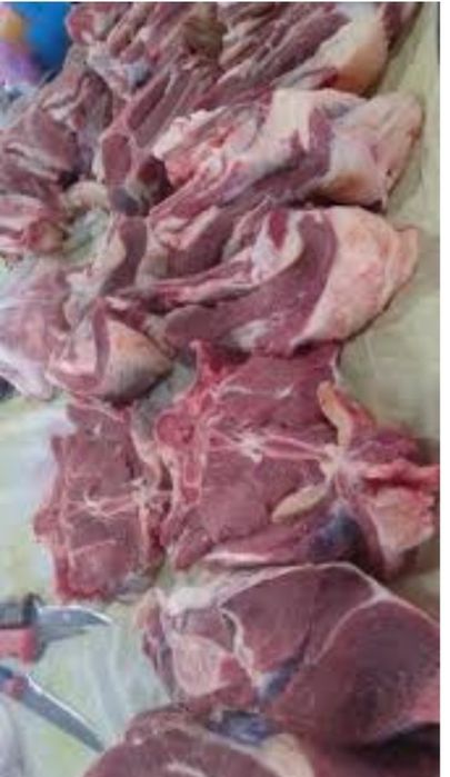 Жас тана еті бар