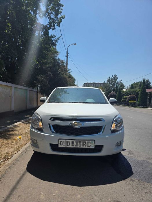 Cobalt full, 2024